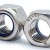 Stainless Nuts