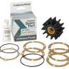 Rouet pour pompe Johnson 09-702B-1