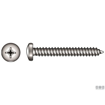 Pack Pan Head Tapping Screw Phillips A4 DIN 7981 4,2x32mm 10pz