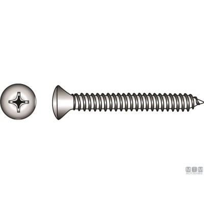 Pack Oval Head Tapping Screws Phillips A4 DIN 7983 3,9x25mm 12pz
