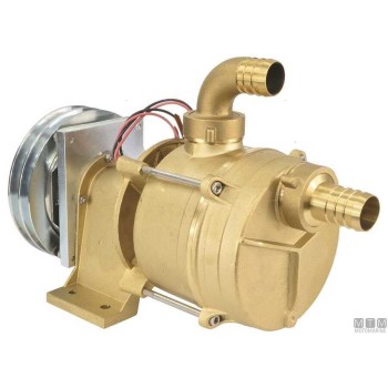 Electromagnetic Clutch Pump Tellarini IFE 30-24 Electromagnetic Clutch Pump Tellarini IFE 30-24