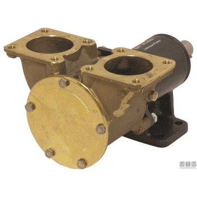Johnson Pump 10-13024-1 F8B-3000 VF