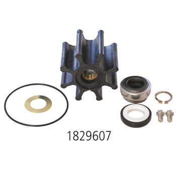 Service kit for Jhonson Pumps F7B-8