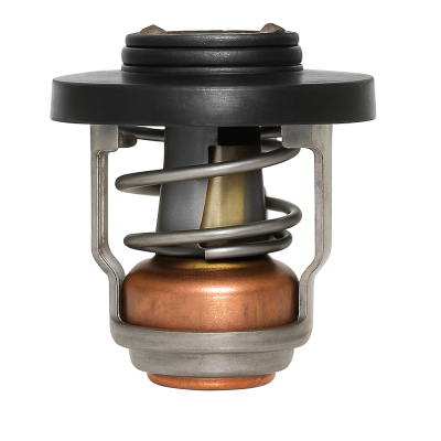 Echte Thermostate für Mercury-Motoren - 8M0117413 Code für 30/60 PS