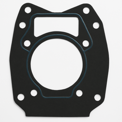 Pump/Lower Unit Gaskets for Mercury/Mercruiser Engines - Genuine 27-430331