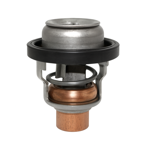 Echte Thermostate für Suzuki-Motoren 17670-90J00 für DF70/300