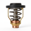 Thermostats pour moteurs Suzuki d'origine 17670-90J20(21) code moteur DF100/300