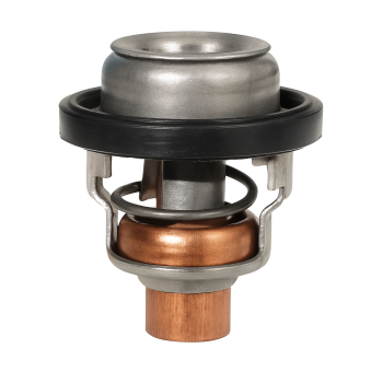 Echte Thermostate für Suzuki-Motoren 17670-94404 für DF9.9/70