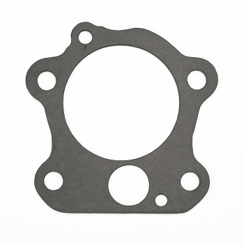 Wasserpumpe/Untere Einheit/Termostatdichtungen für Yamaha-Motoren - Original 6H3-44315-00 Code für FT50/60