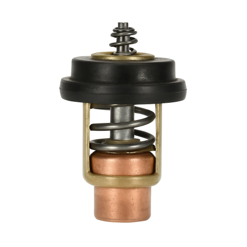 Echter Thermostat für Tohatsu-Motoren 3H6-01030-0 Echter Thermostat für Tohatsu-Motoren 3H6-01030-0