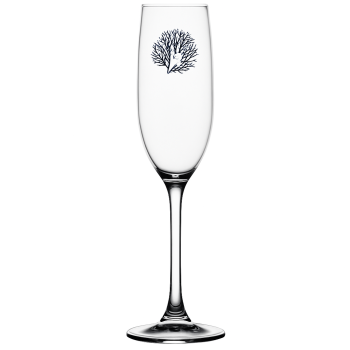 Champagne glass MB Living 5,5 x H22 cm pack 6 pcs