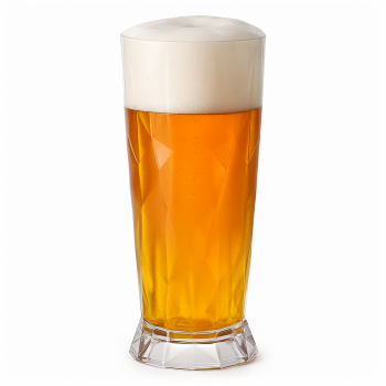 Ensemble de 2 verres à bière en plastique magnétique - capacité de 500 cc (ø85 x h216 mm)