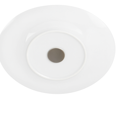 Set of 2 Magnetic Porcelain Ocean Flat Plates by Silwy Set of 2 Magnetic Porcelain Ocean Flat Plates by Silwy