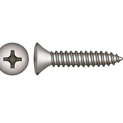 Oval Head Phillips Tapping Screws DIN 7983 5.5x16 mm Pack of 10 Oval Head Phillips Tapping Screws DIN 7983 5.5x16 mm Pack of 10